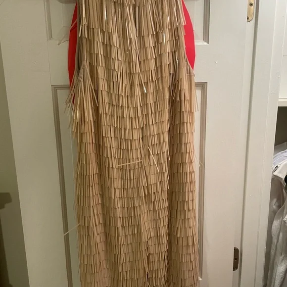 ASOS Elegant Beige Fringe Dress - Picture 3 of 5